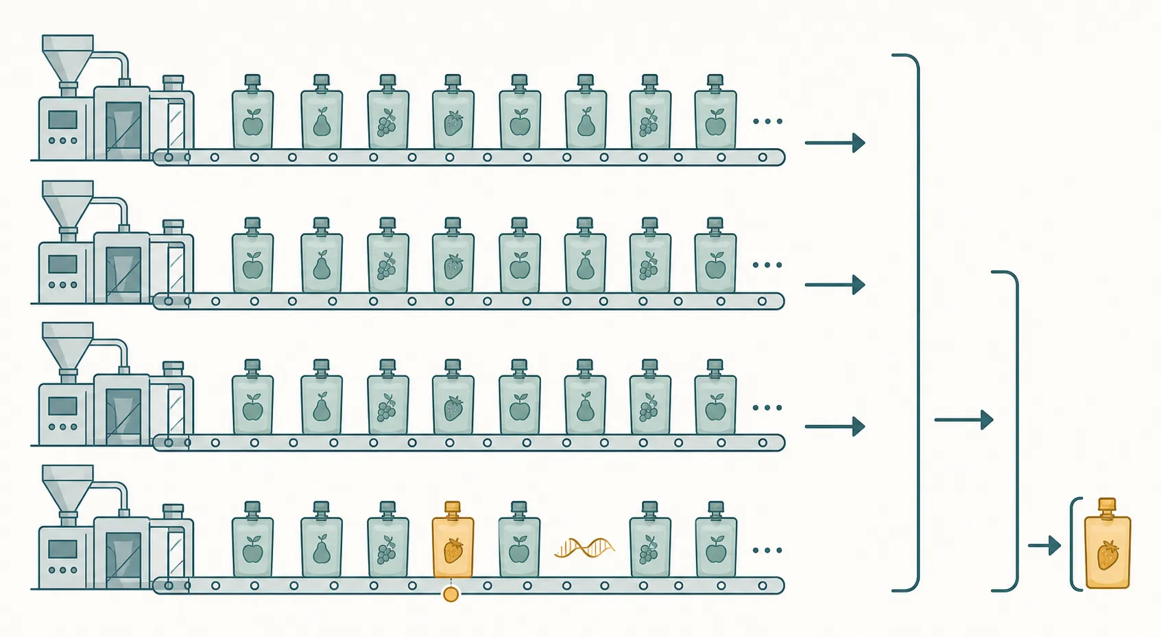 Illustration of recall-scope narrowing from all four pouch production lanes to one affected lane and one highlighted run