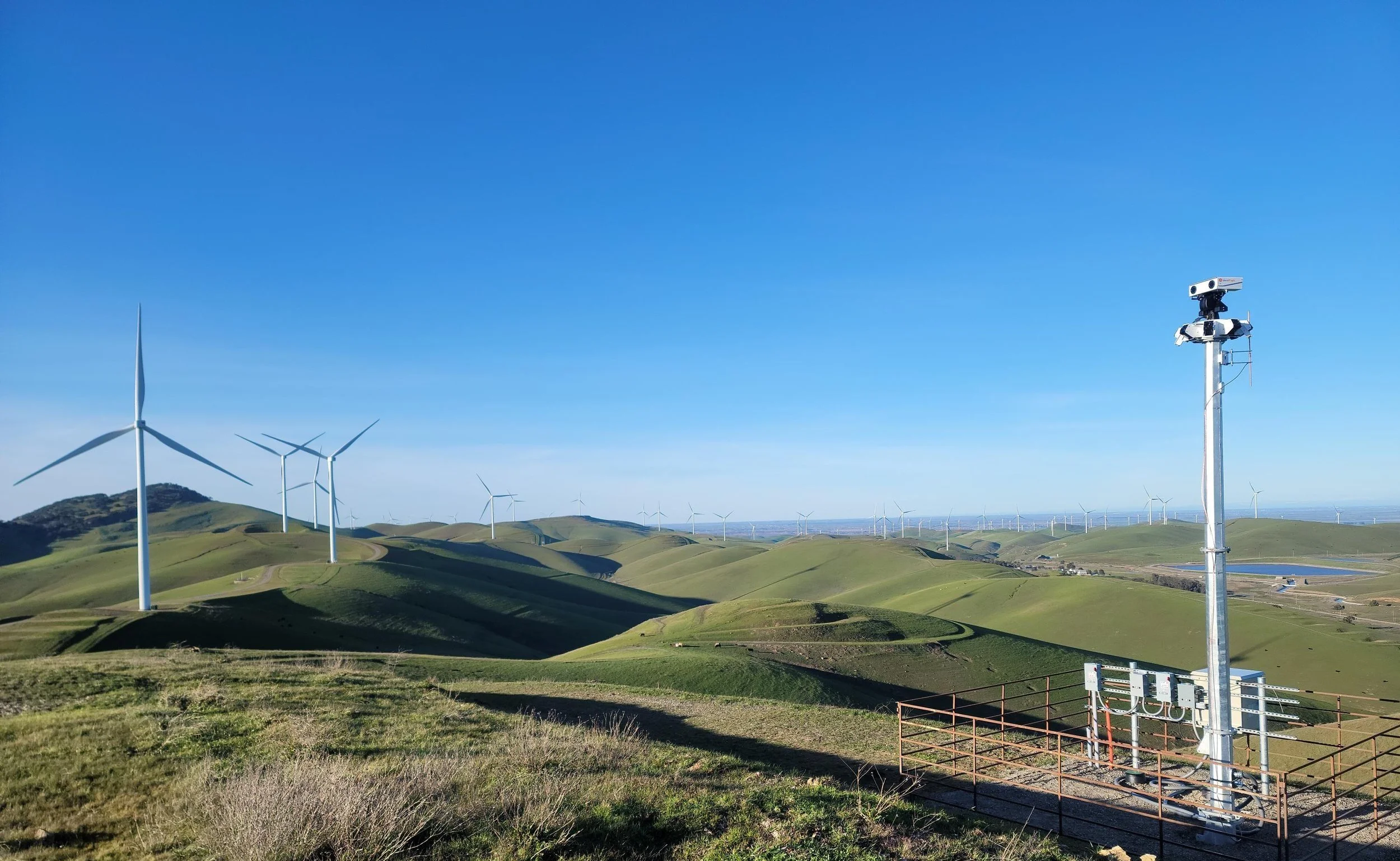 IdentiFlight bird detection camera station installed at a wind farm
