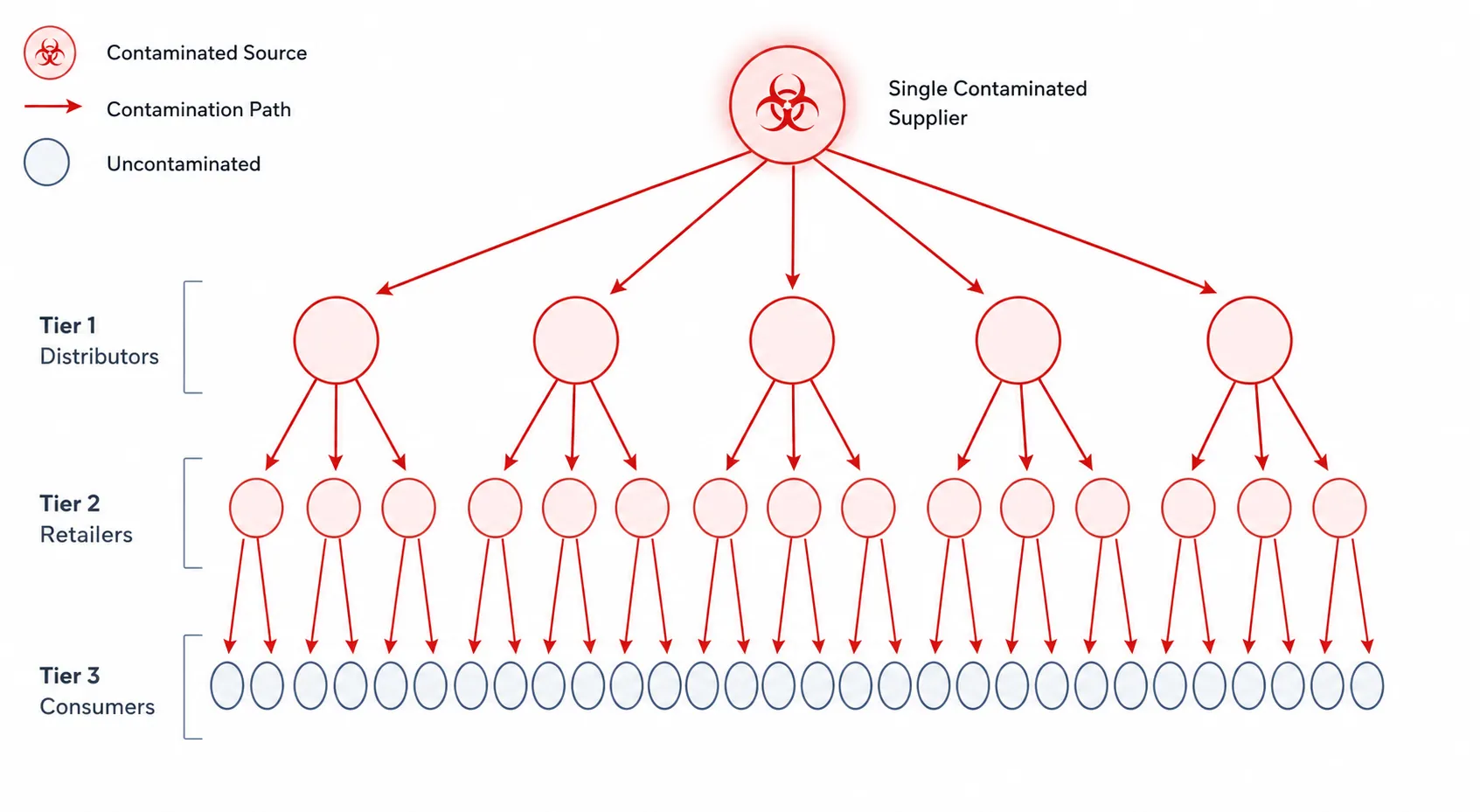 Supply chain node diagram showing one upstream supplier spreading contamination through distributors to retail endpoints