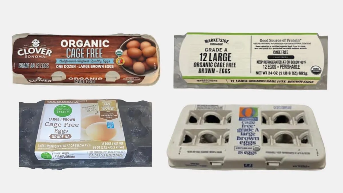 Egg cartons from the August Egg Company recall showing multiple brand labels and recall warning context